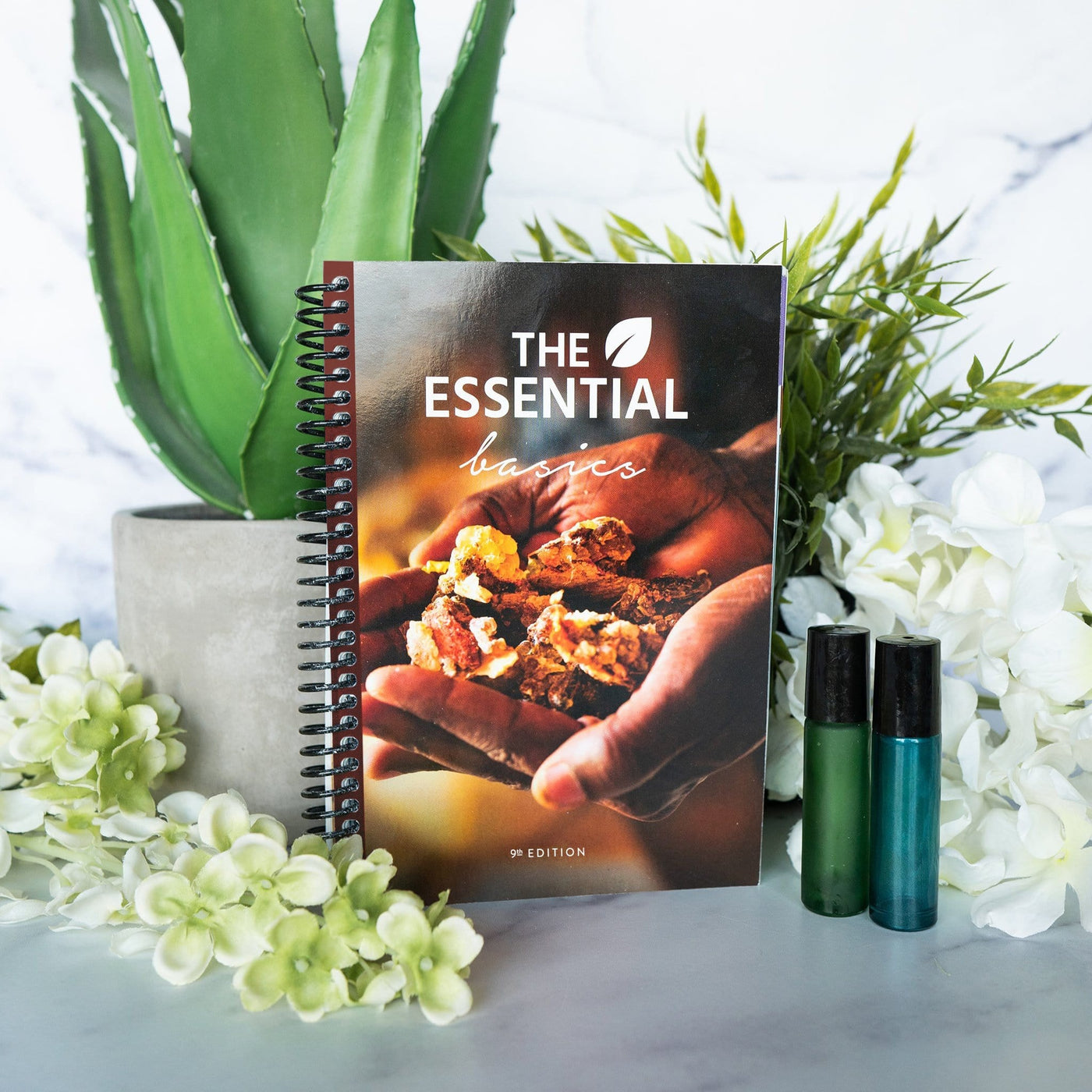 *Pre-Order* The Essential Basics Book 9th Edition