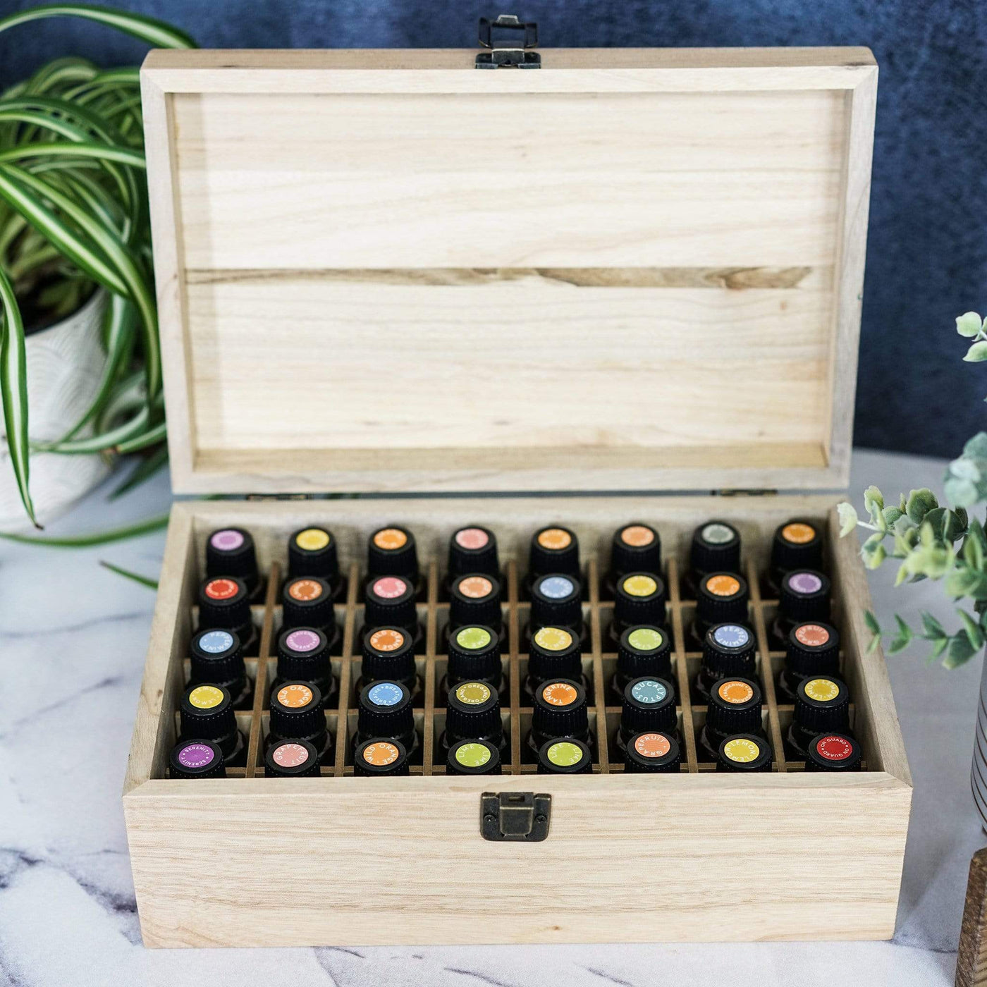 Essential Oil Box with Latch - Oil Life Canada - Canada's Best Essential Oil Supplies
