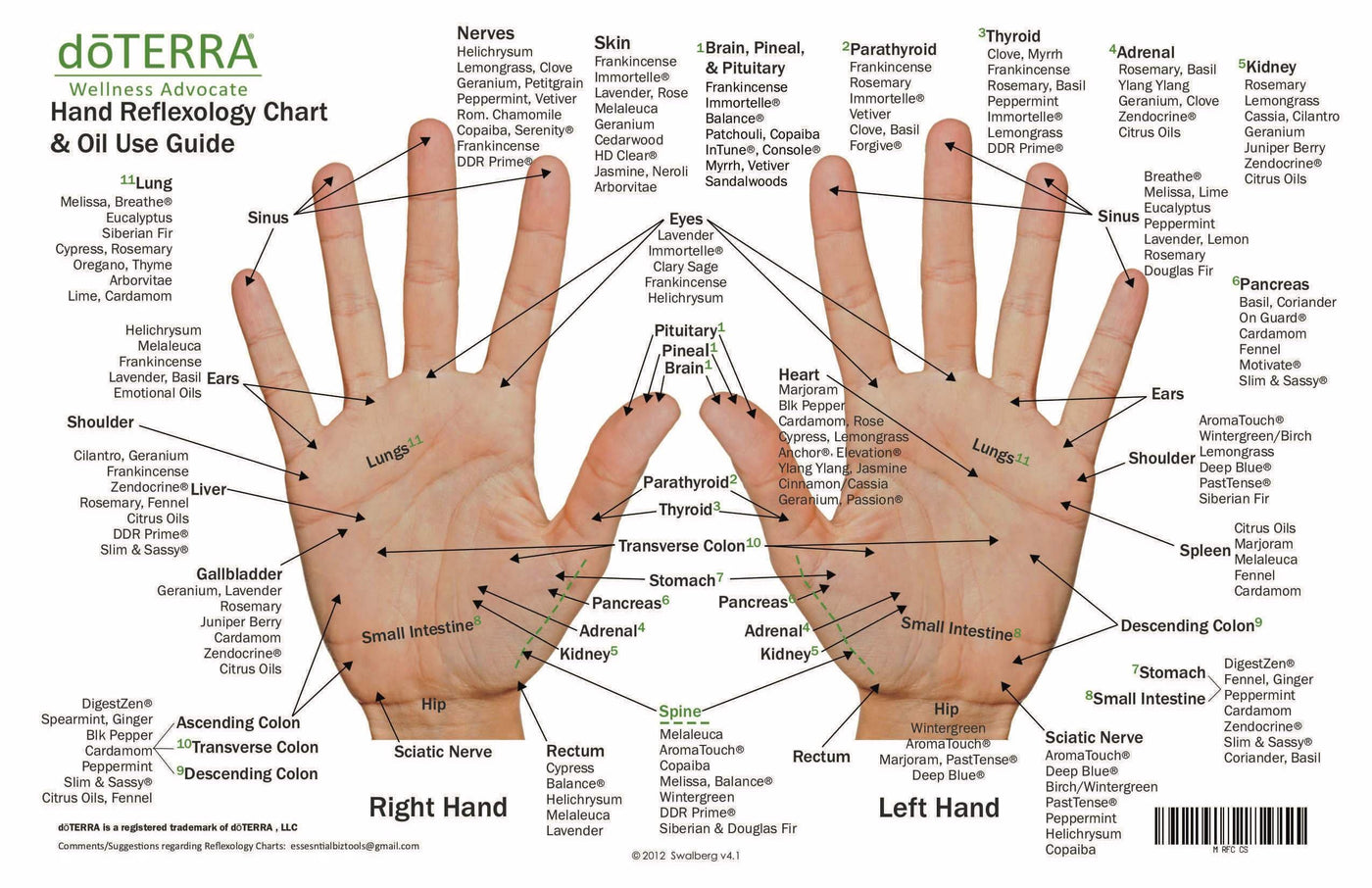 Hand & Foot Reflexology on Cardstock: 8.5x5.5 Sheet - Oil Life Canada - Canada's Best Essential Oil Supplies