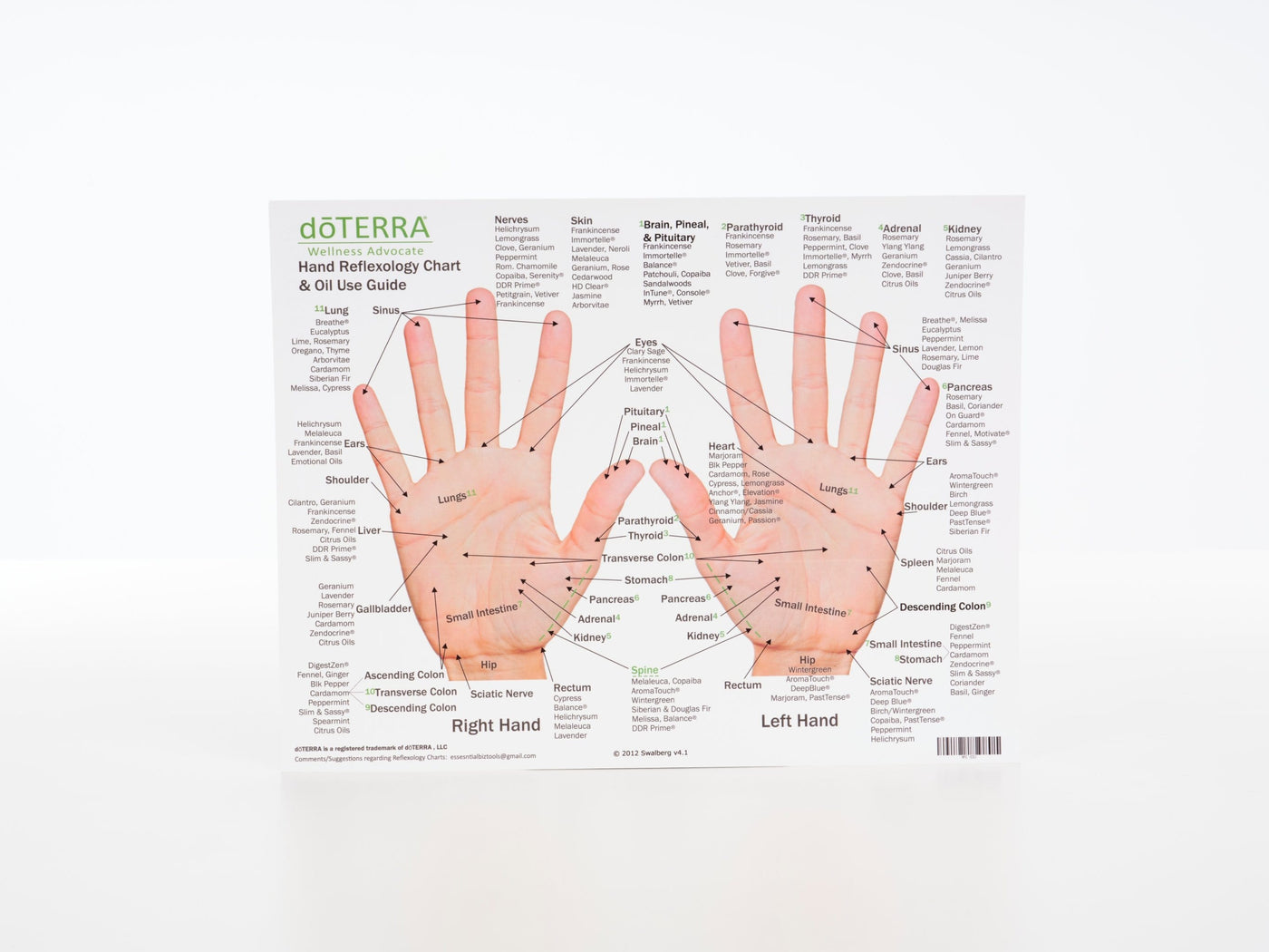 Hand & Foot Reflexology Cardstock 8.5x11 - Oil Life Canada - Canada's Best Essential Oil Supplies
