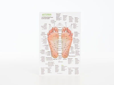 Hand & Foot Reflexology on Cardstock: 8.5x5.5 Sheet - Oil Life Canada - Canada's Best Essential Oil Supplies